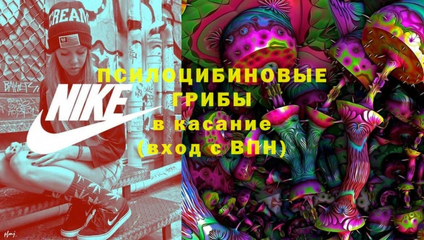сатива Заволжск