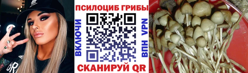 Галлюциногенные грибы мухоморы  Купить где  Карабаш 